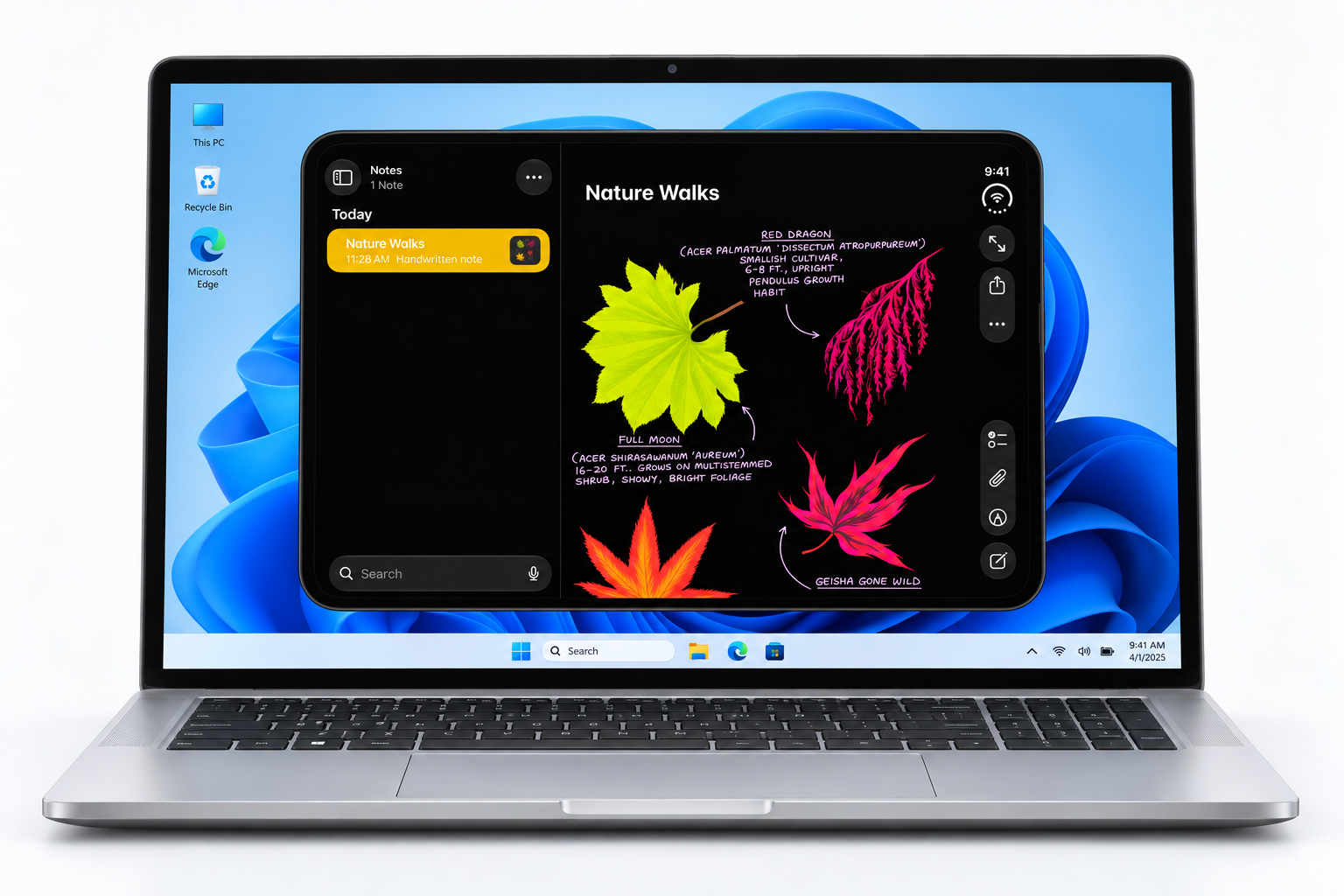 Duo Notes with a colorful nature journal displayed on a Windows laptop